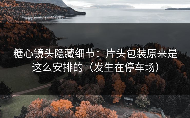 糖心镜头隐藏细节：片头包装原来是这么安排的（发生在停车场）