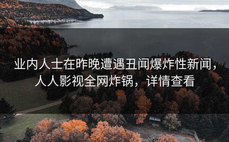 业内人士在昨晚遭遇丑闻爆炸性新闻，人人影视全网炸锅，详情查看