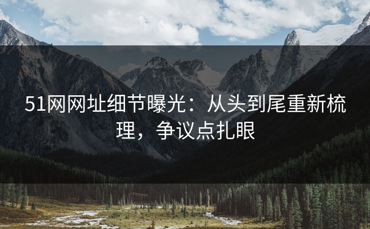 51网网址细节曝光:从头到尾重新梳理,争议点扎眼